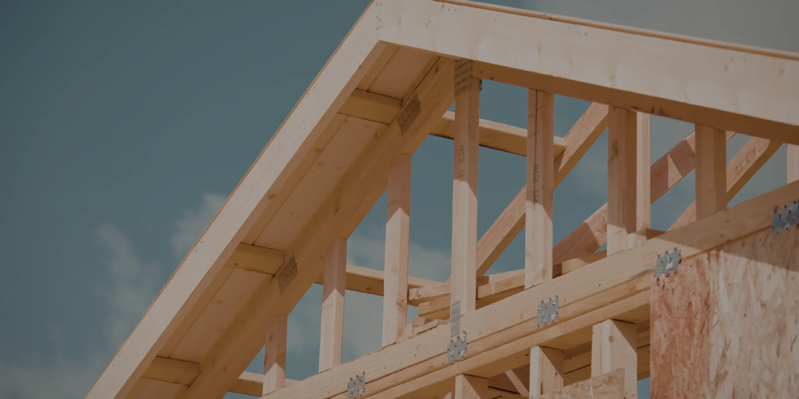 Construcción de techos y techumbres